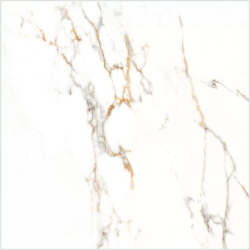 Porcelanato Calacata Oro Acetinado 81X81 Gaudi
